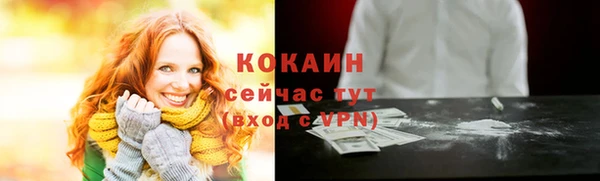 молекула духа Каменногорск