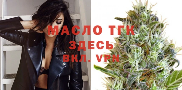 молекула духа Каменногорск