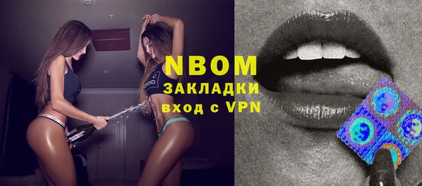 молекула духа Каменногорск