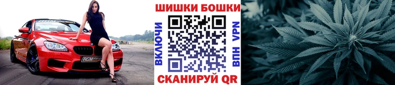 Купить  Чернушка  Бошки марихуана планчик 